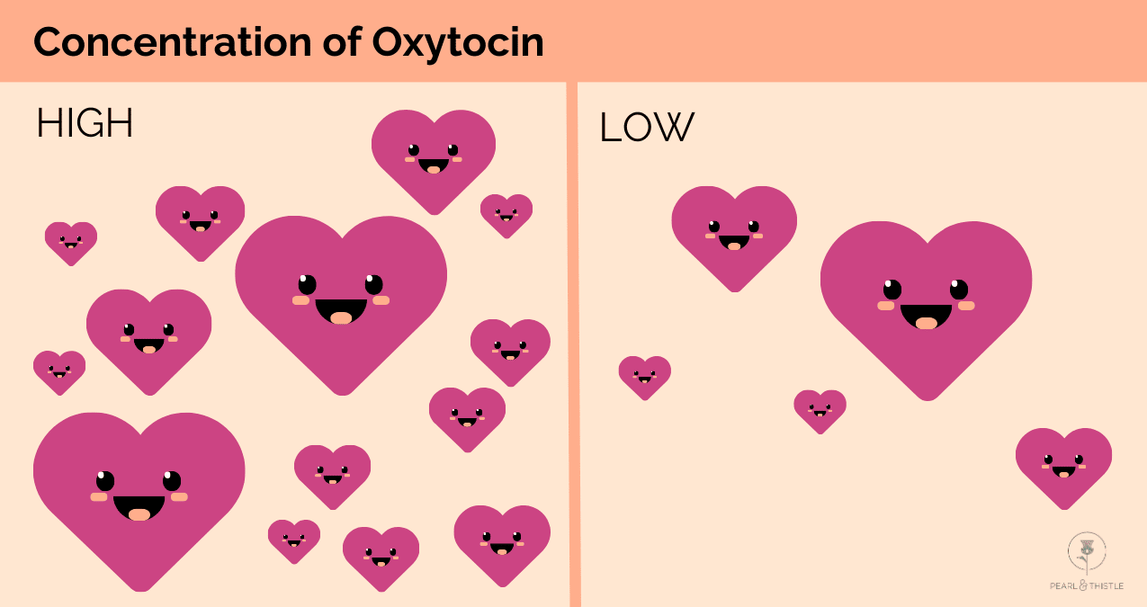 image showing high and low concentrations of oxytocin