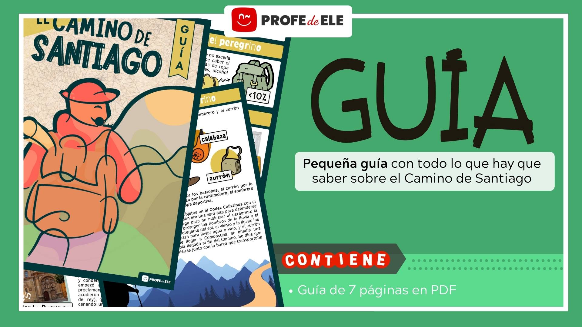 guía camino de santiago