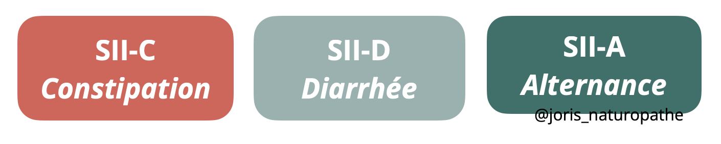 différents types de syndrome de l'intestin irritable