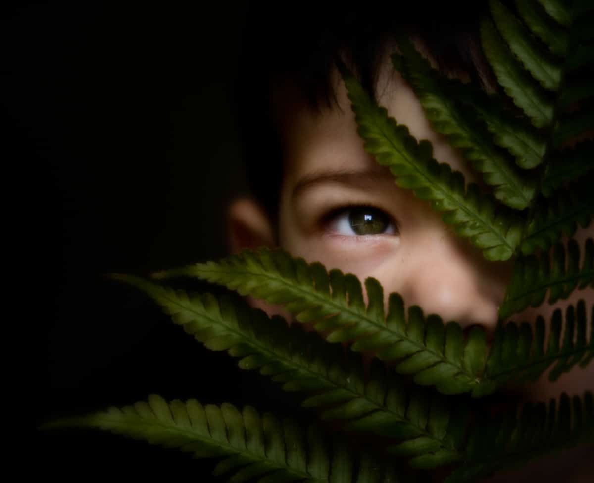 Mastering the Art of Minimalist Photography