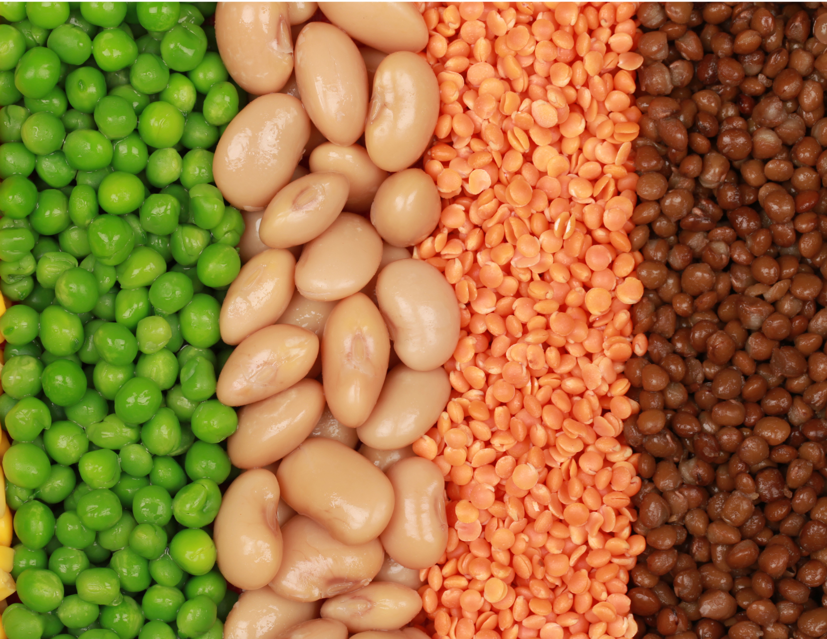 beans-peas-peanuts