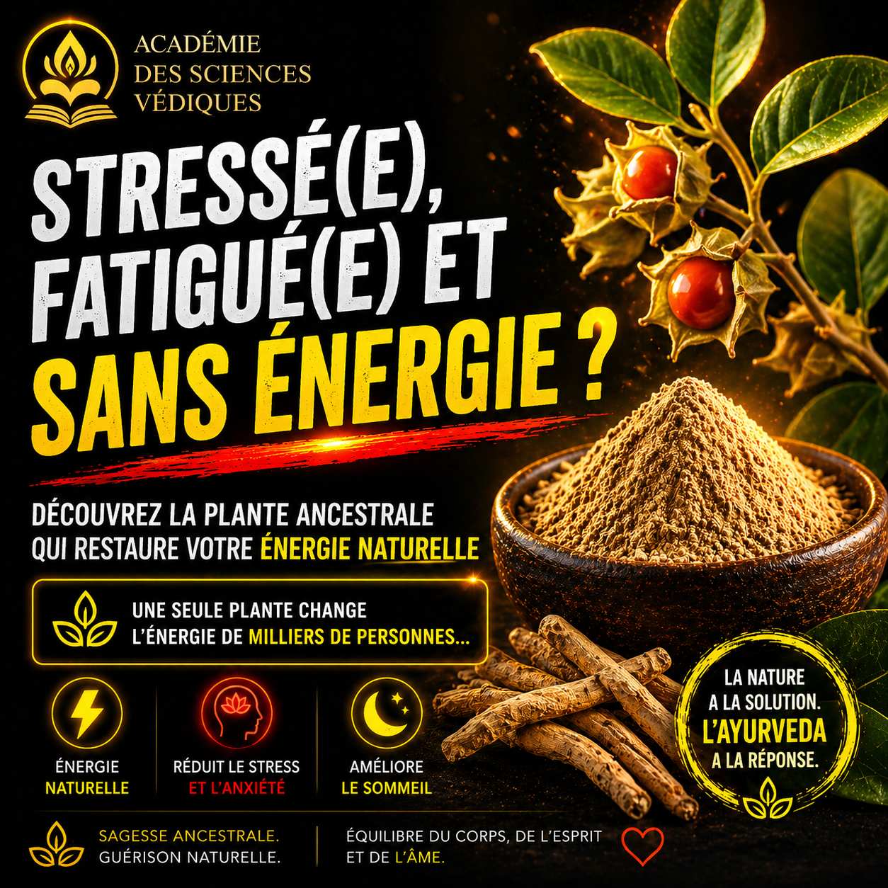 Formation Ayurveda Yoga