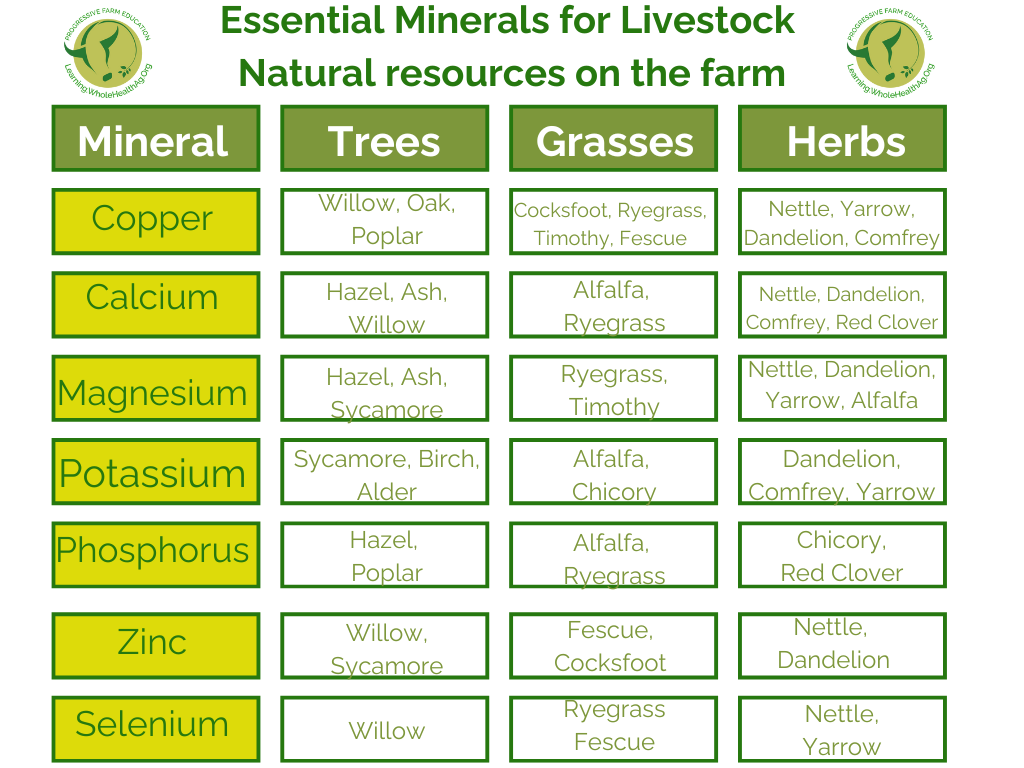 Table showing nutrition for livestock from trees, grasses and herbs