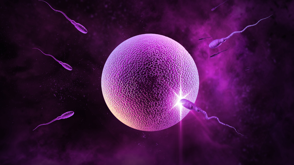 la symptothermie une contraception ?