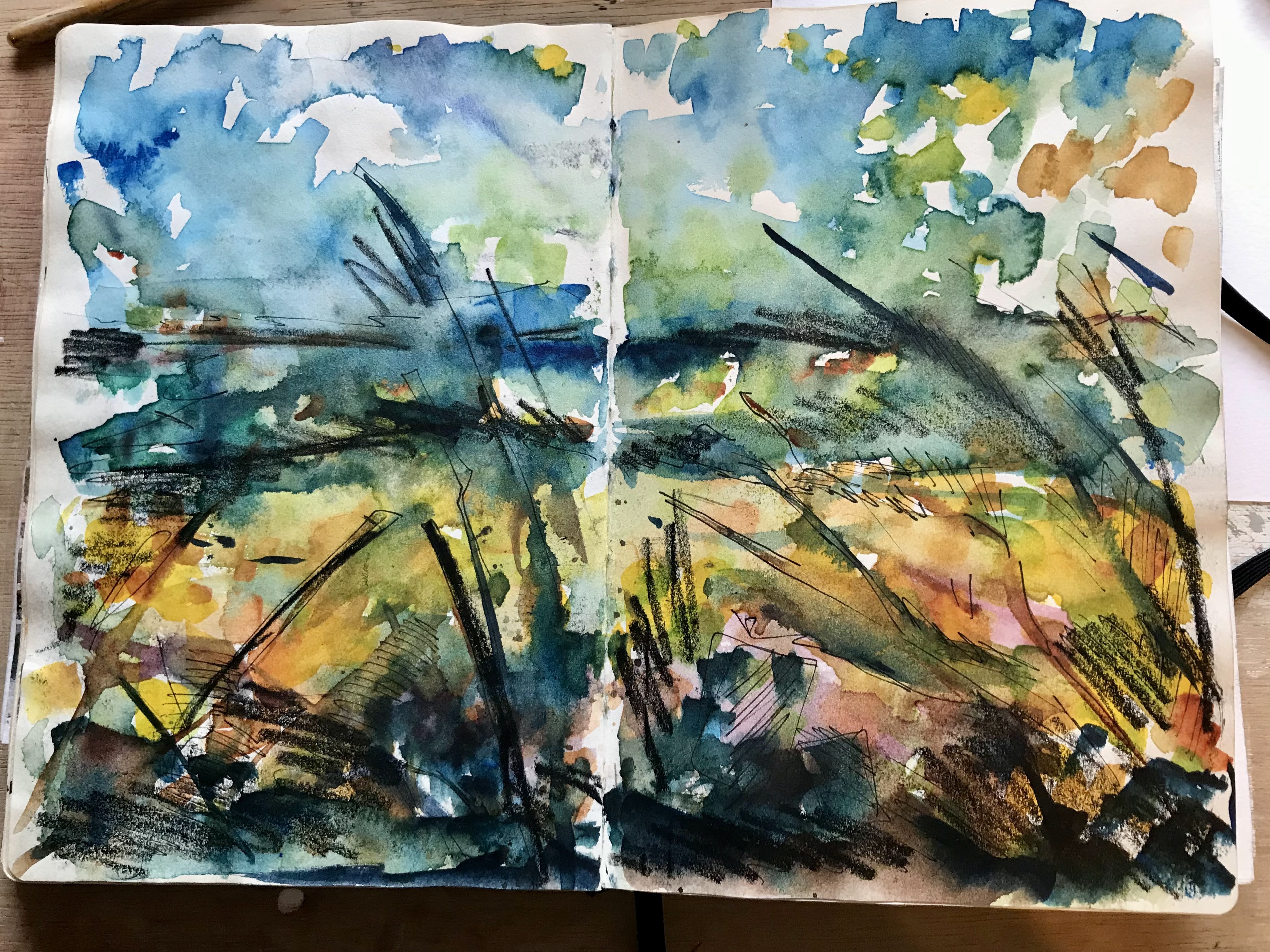 Quick Sketch with some paint