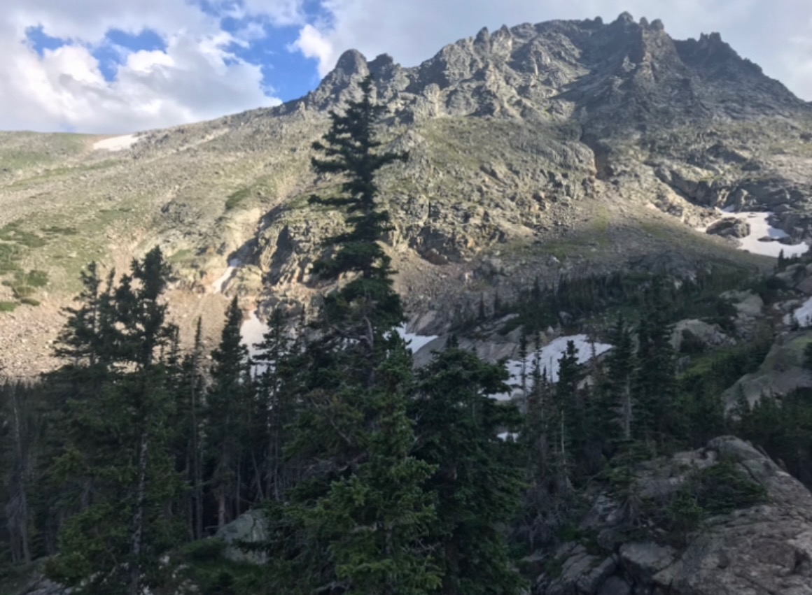 Summer Snow Fields Reference Photograph 