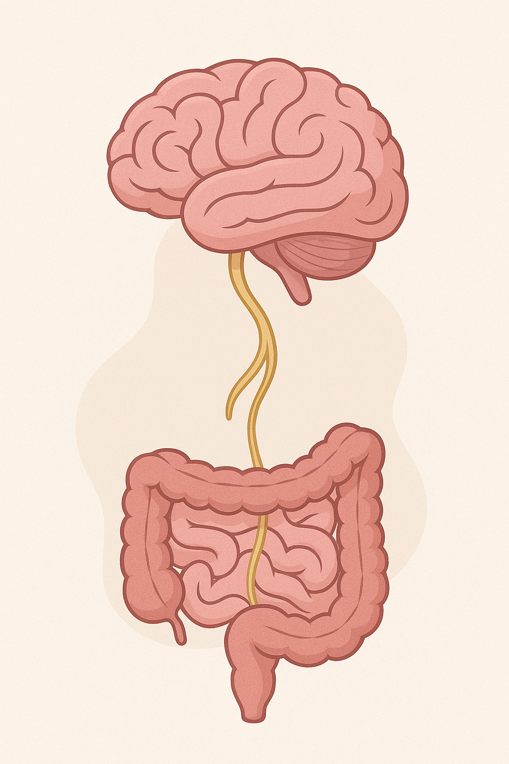 nerf vague et intestin irritable