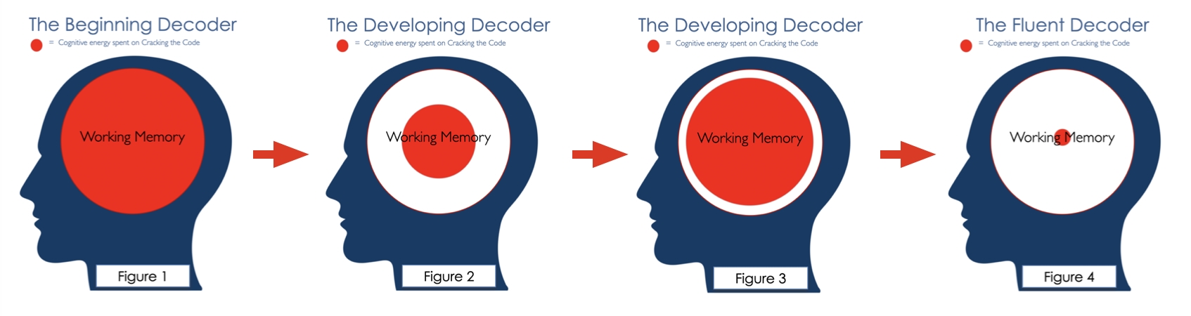 Is the brain ready for Comprehension Instruction