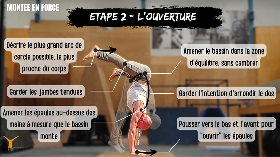 La technique de la montée en force