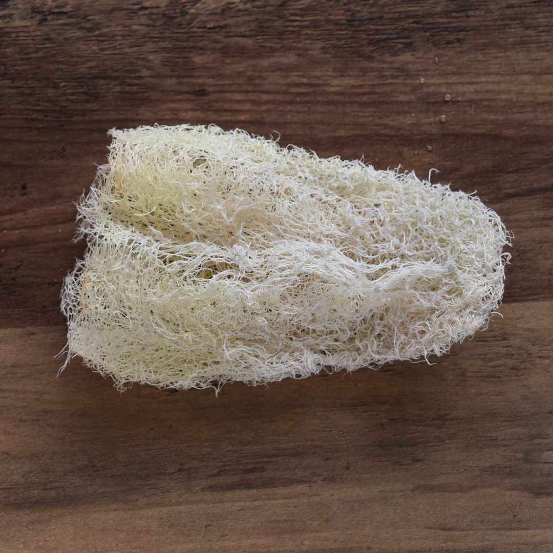 An old loofah
