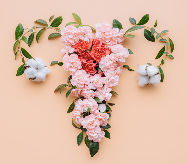 uterusovariesflowers