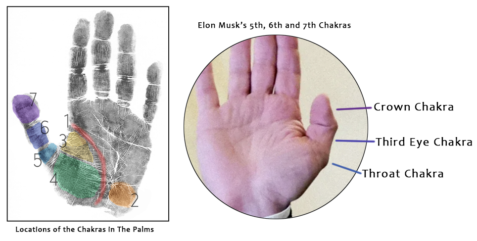 A diagram of the Chakras in the hands and a photo of Elon Musk's thumb with 5th, 6th and 7th Chakras noted