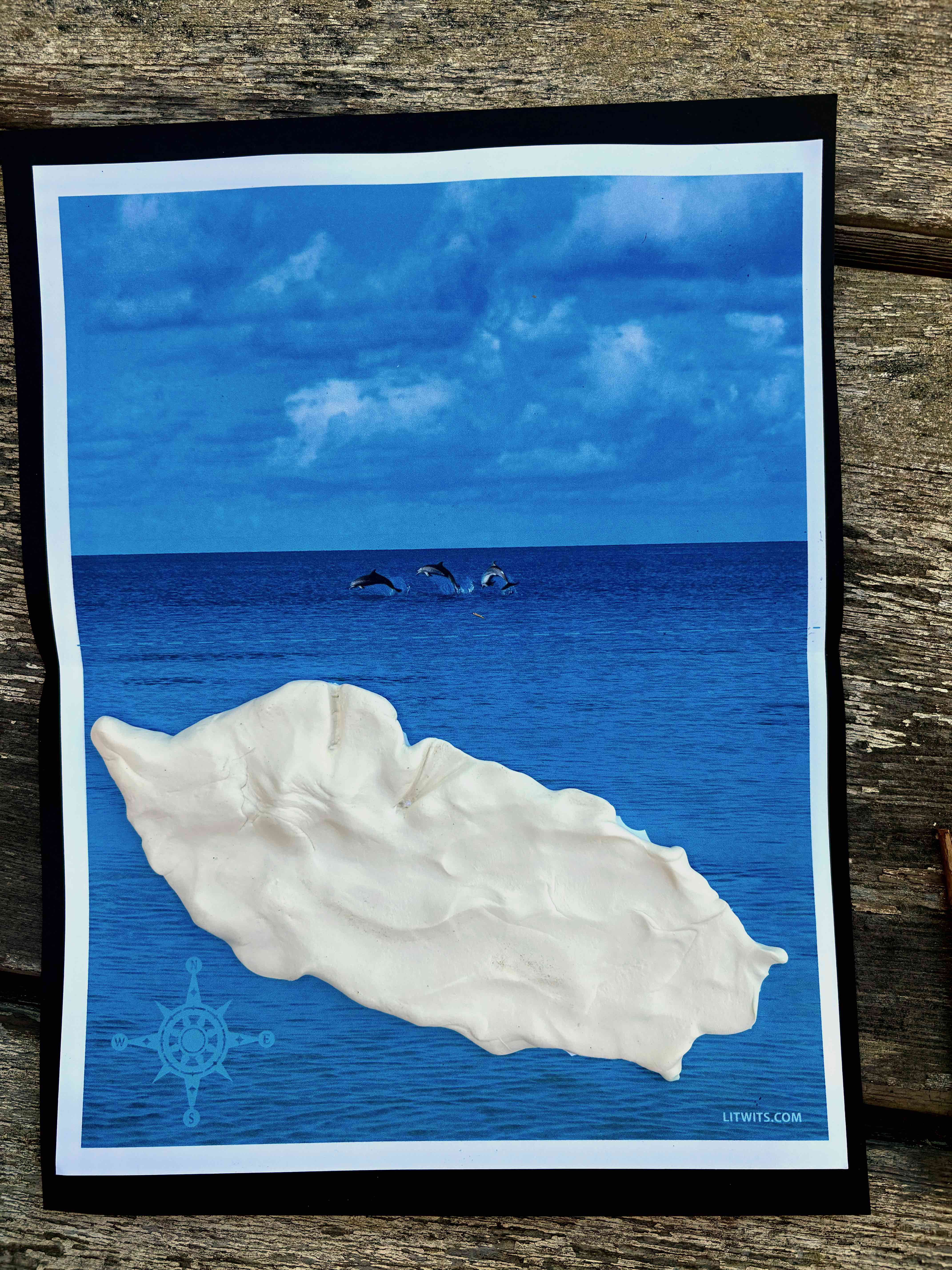 LitWits project for Island of the Blue Dolphins - clay island