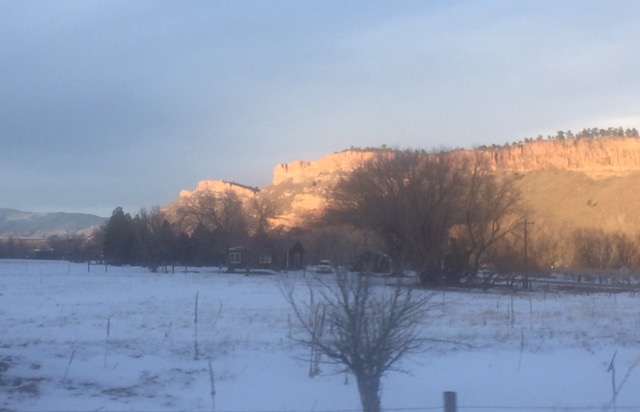 Warm Winter Light Reference Photo