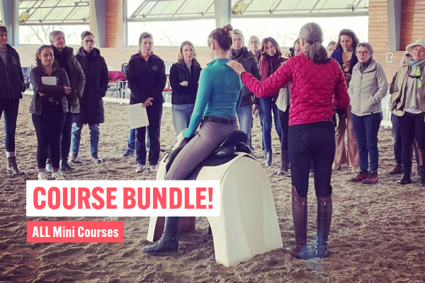 Mini Course Bundle
