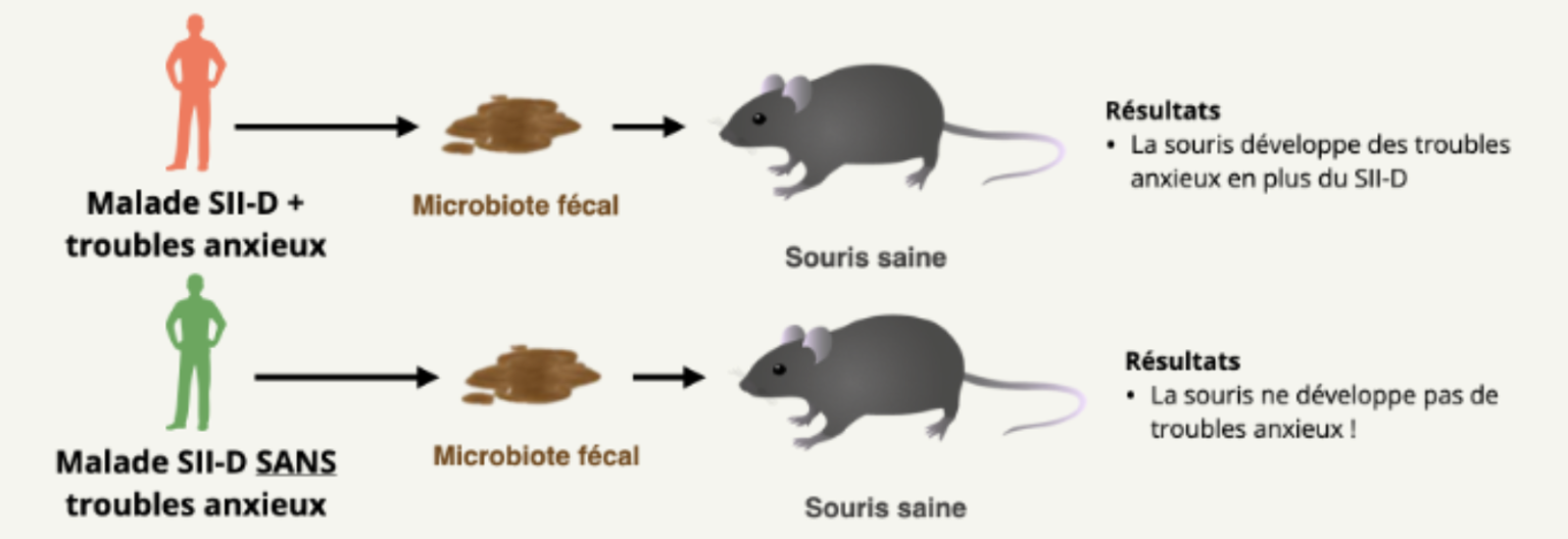 colon irritable stress