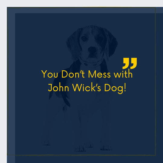 Quote - "You don't mess with John Wick's Dog"