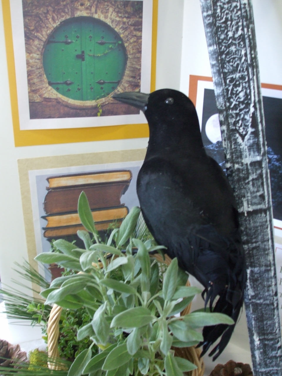 Raven from THE HOBBIT by JRR Tolkien - story prop idea from LitWits Workshops