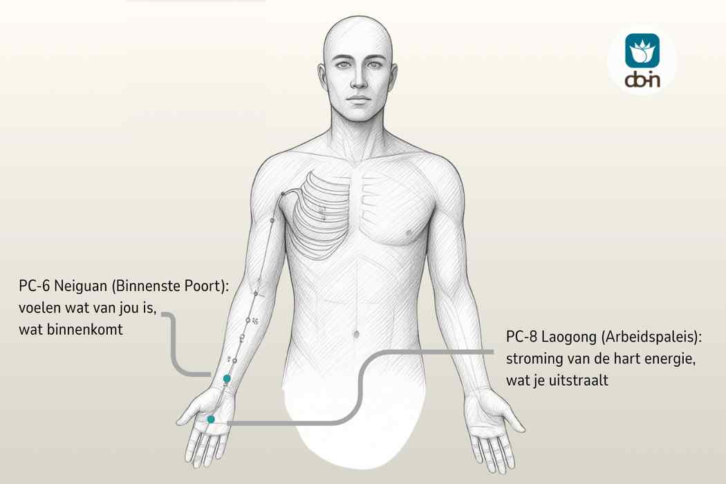 Tekening van het verloop van de hartbeschermer meridiaan (pericardiummeridiaan) in Do-In Yoga, met drukpunten PC-6 op de pols en PC-8 in de handpalm
