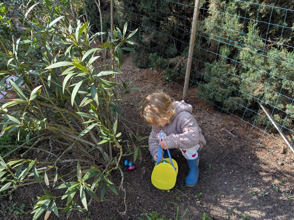 Eggs-hunt-Easter-in-France
