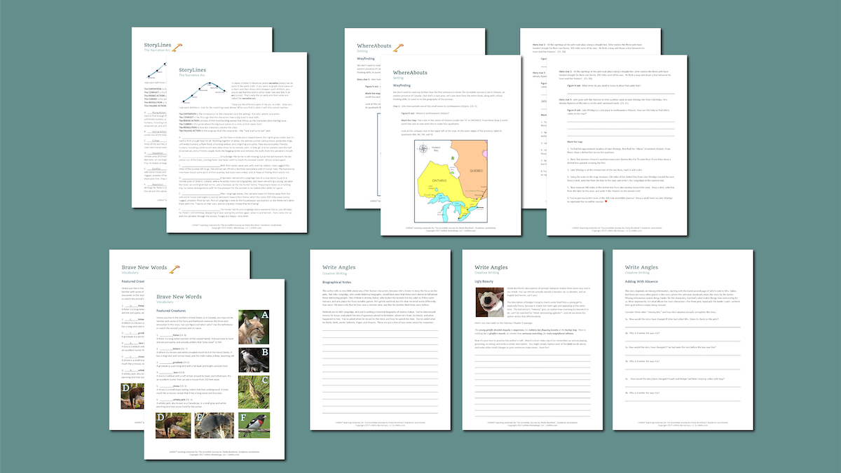 Preview of worksheets for teaching THE INCREDIBLE JOURNEY by Sheila Burnford - LitWits Workshops