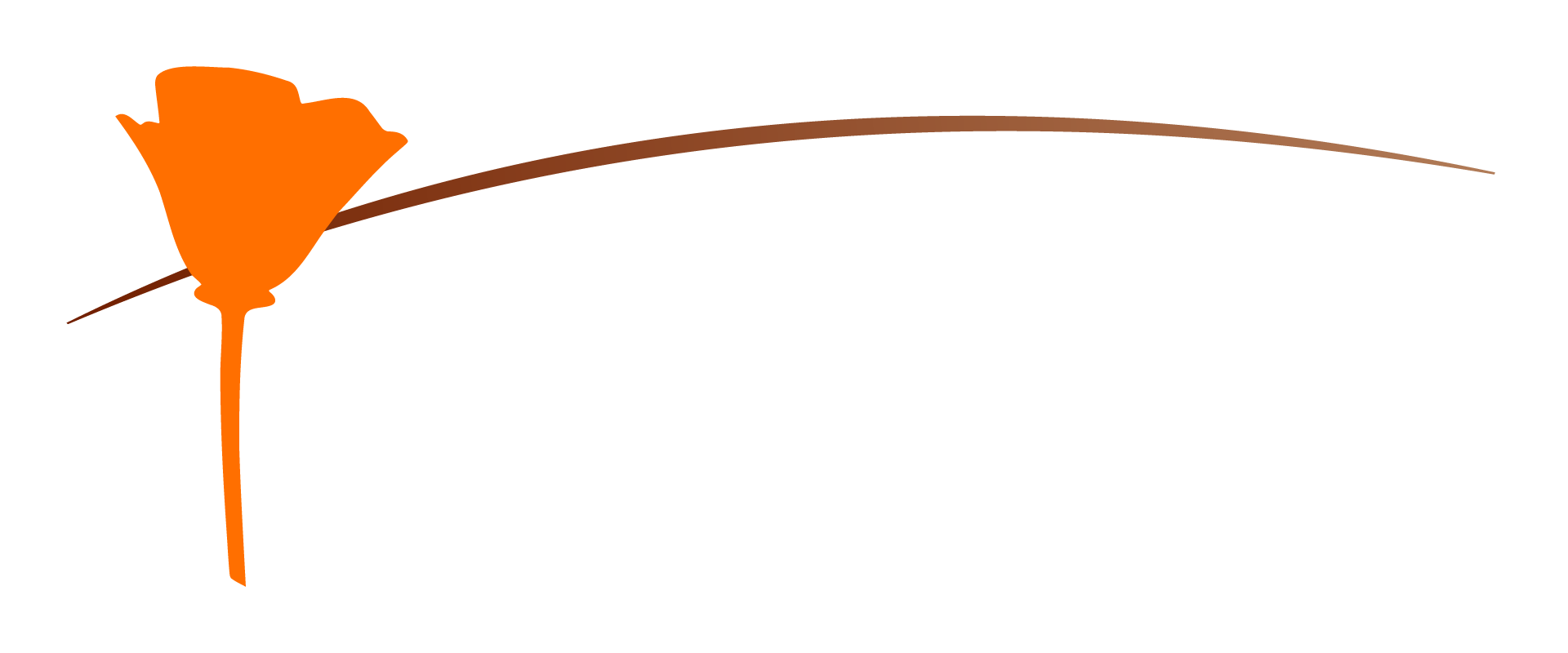 CCLT 2024 Member green 1