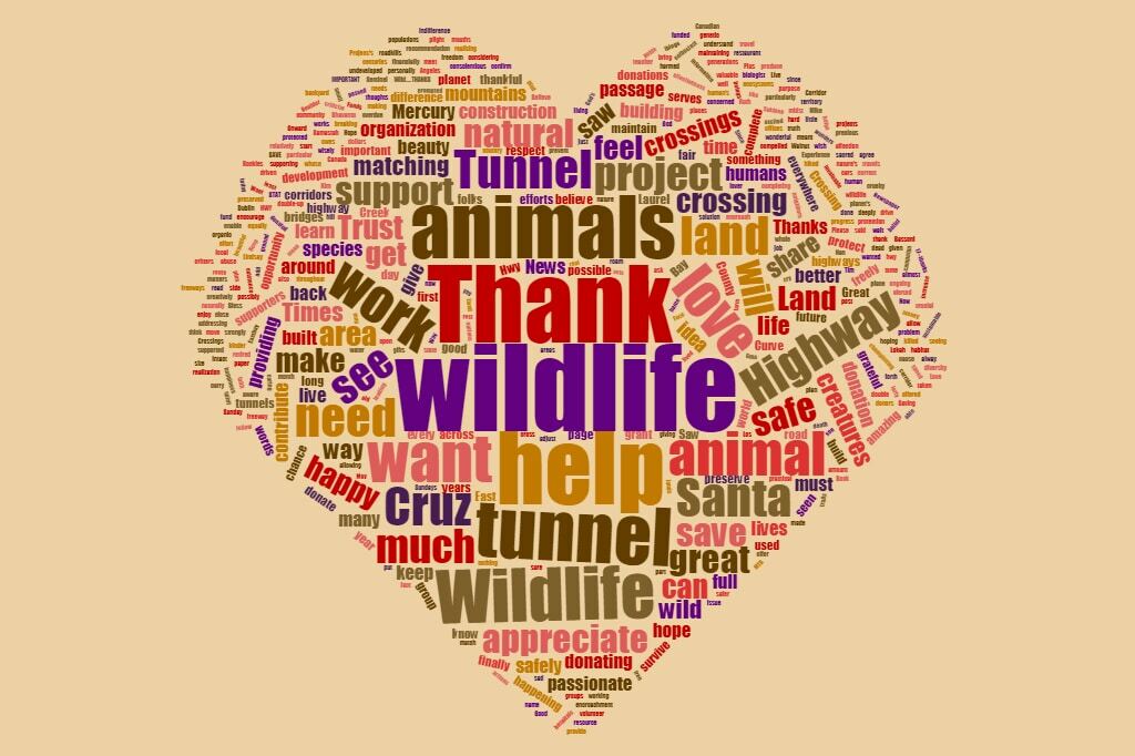 Comments word cloud