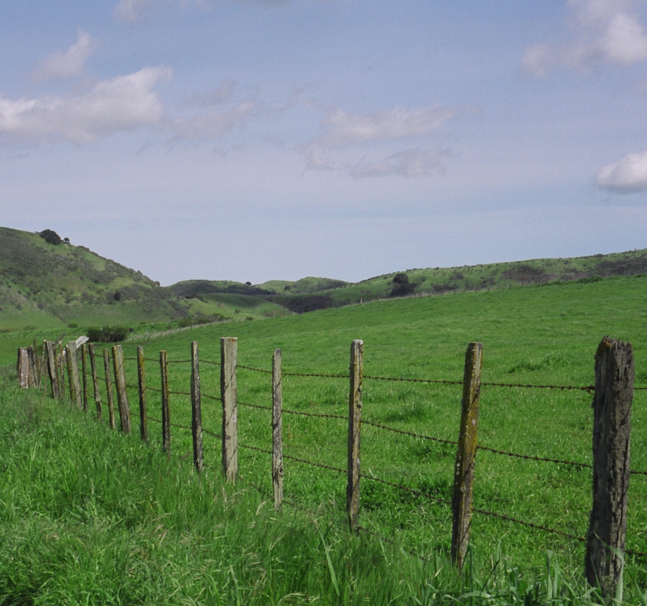 Grazing land 1