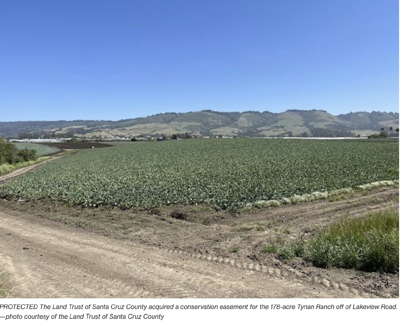 Screenshot 2022 11 28 at 12 05 03 PM