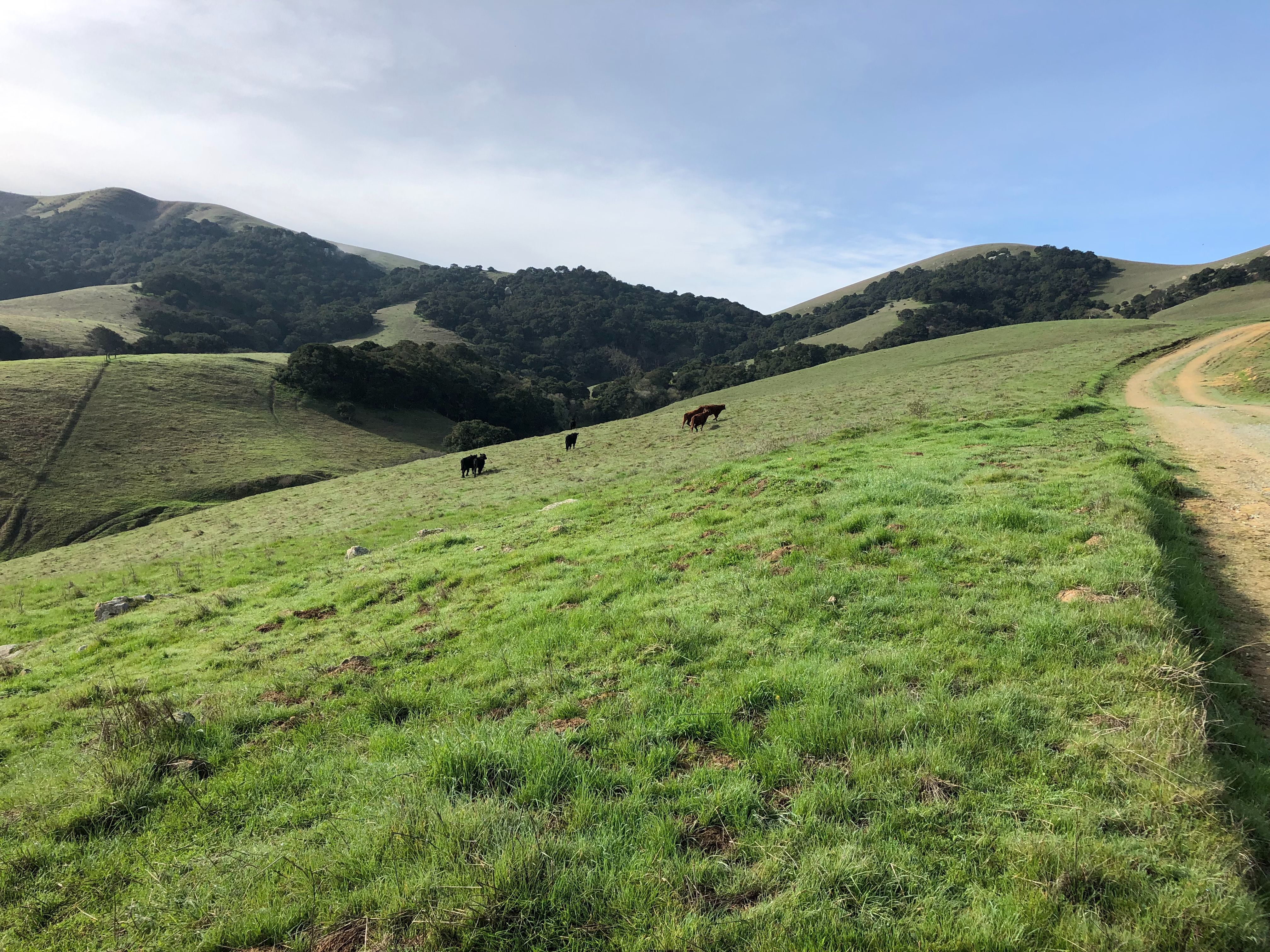 For landownders hero