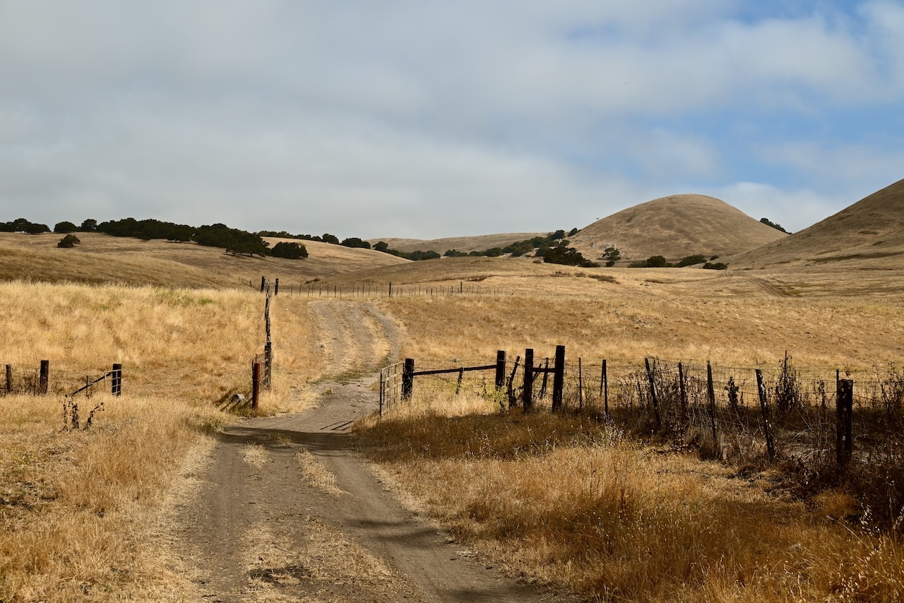 Rocks Ranch golden hills