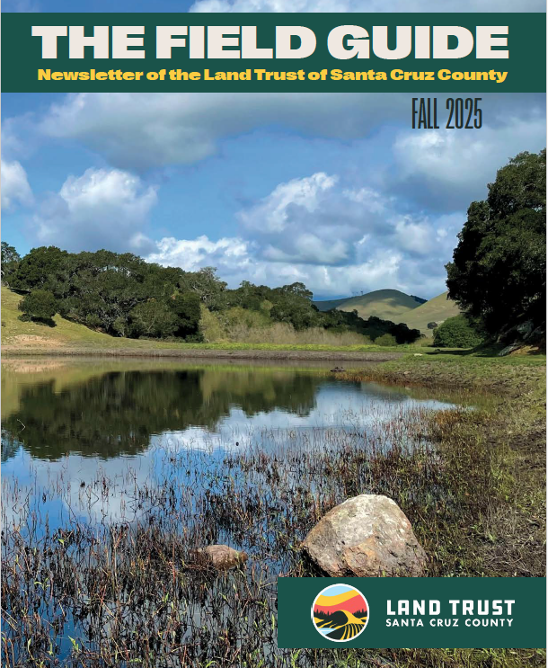 Screenshot 2025 10 03 at 1 34 47 PM