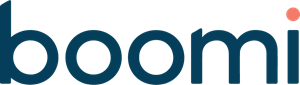 Boomi