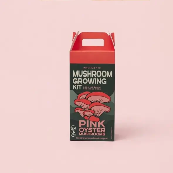 Custom Mushroom Boxes With Logo