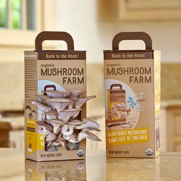 Custom Mushroom Boxes Toronto