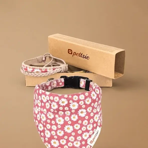 Dog Bandana Box