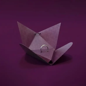 Custom Ring Box Packaging