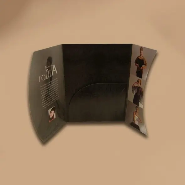 1 Plastic pocket folder with brads