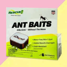 Ant Bait Boxes custom-printed-ant-bait-boxes