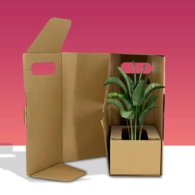 Plant Packaging Boxes plant-kraft-packaging-boxes