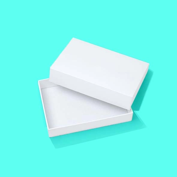 White Kraft Boxes
