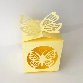 Butterfly Gift Packaging