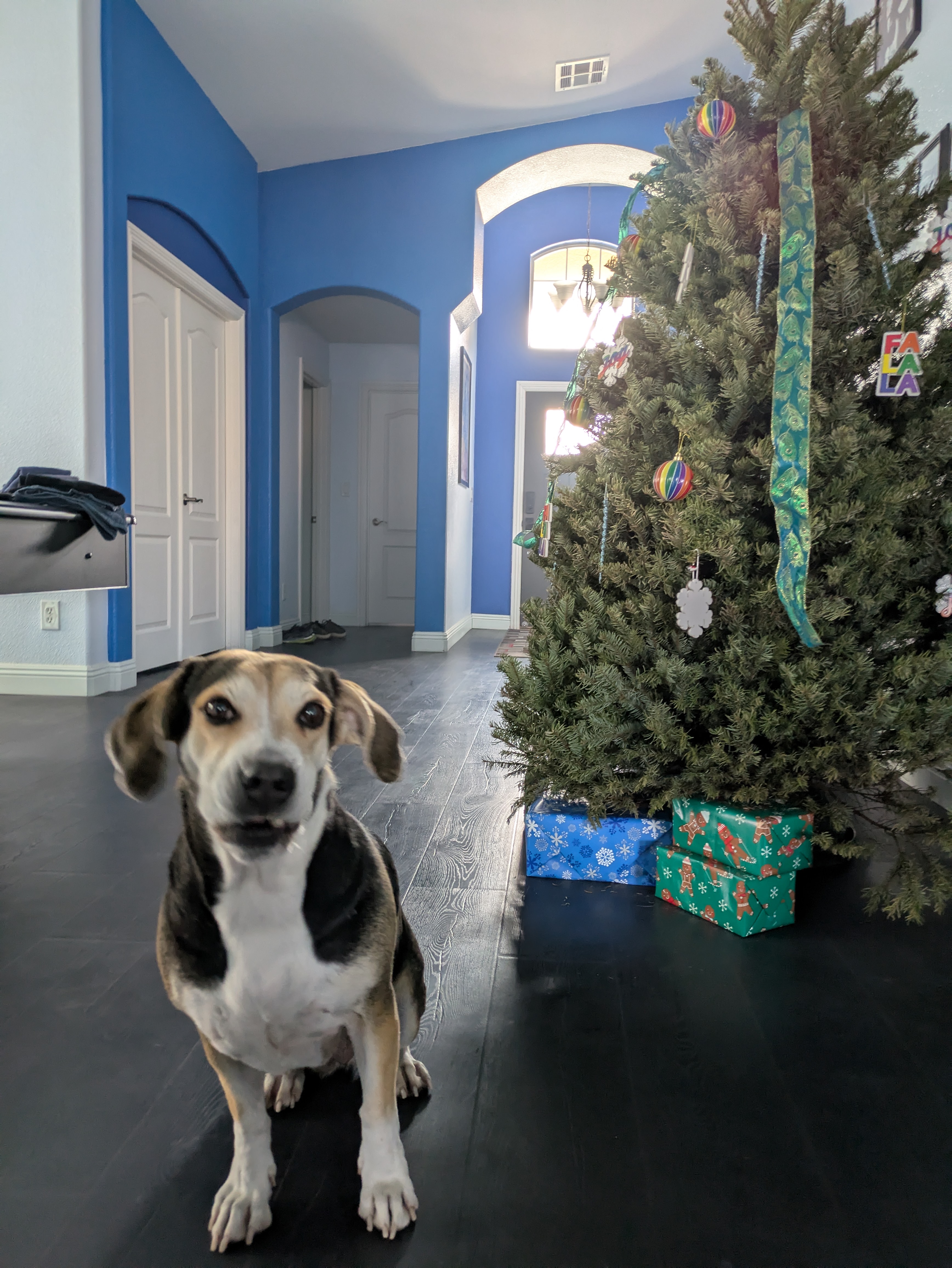A festive image.