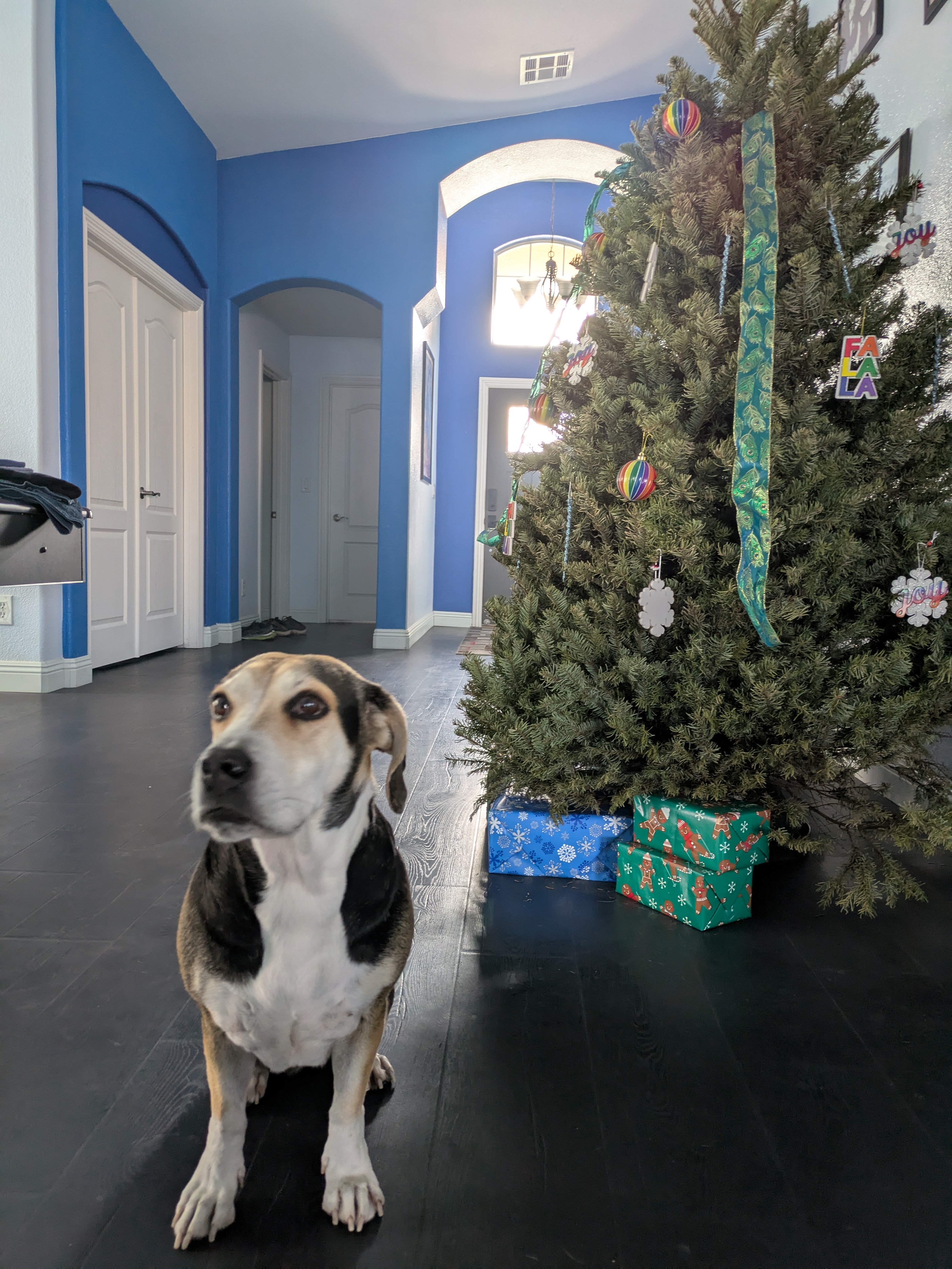 A family moment from the holidays.