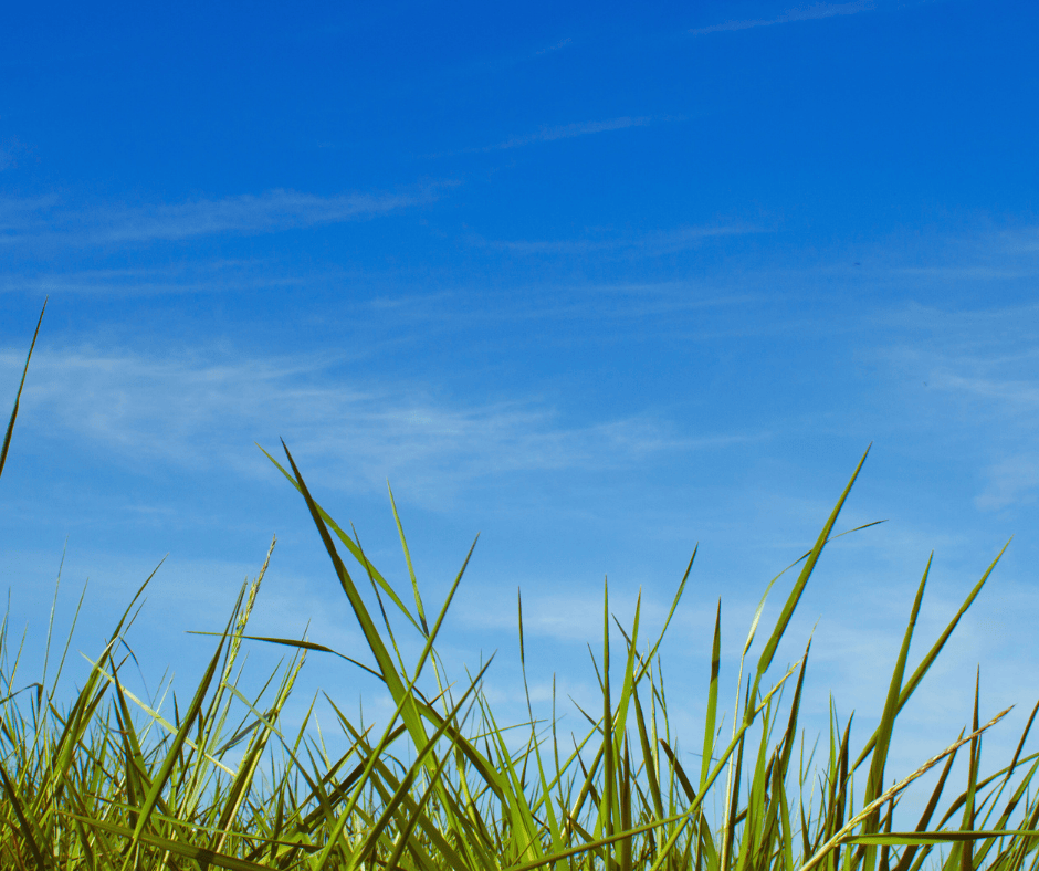 How to Choose the Right AC Installation Service in Phoenix This Summer Day & Night Air Conditioning, Heating, & Plumbing How to Choose the Right AC Installation Service in Phoenix This Summer