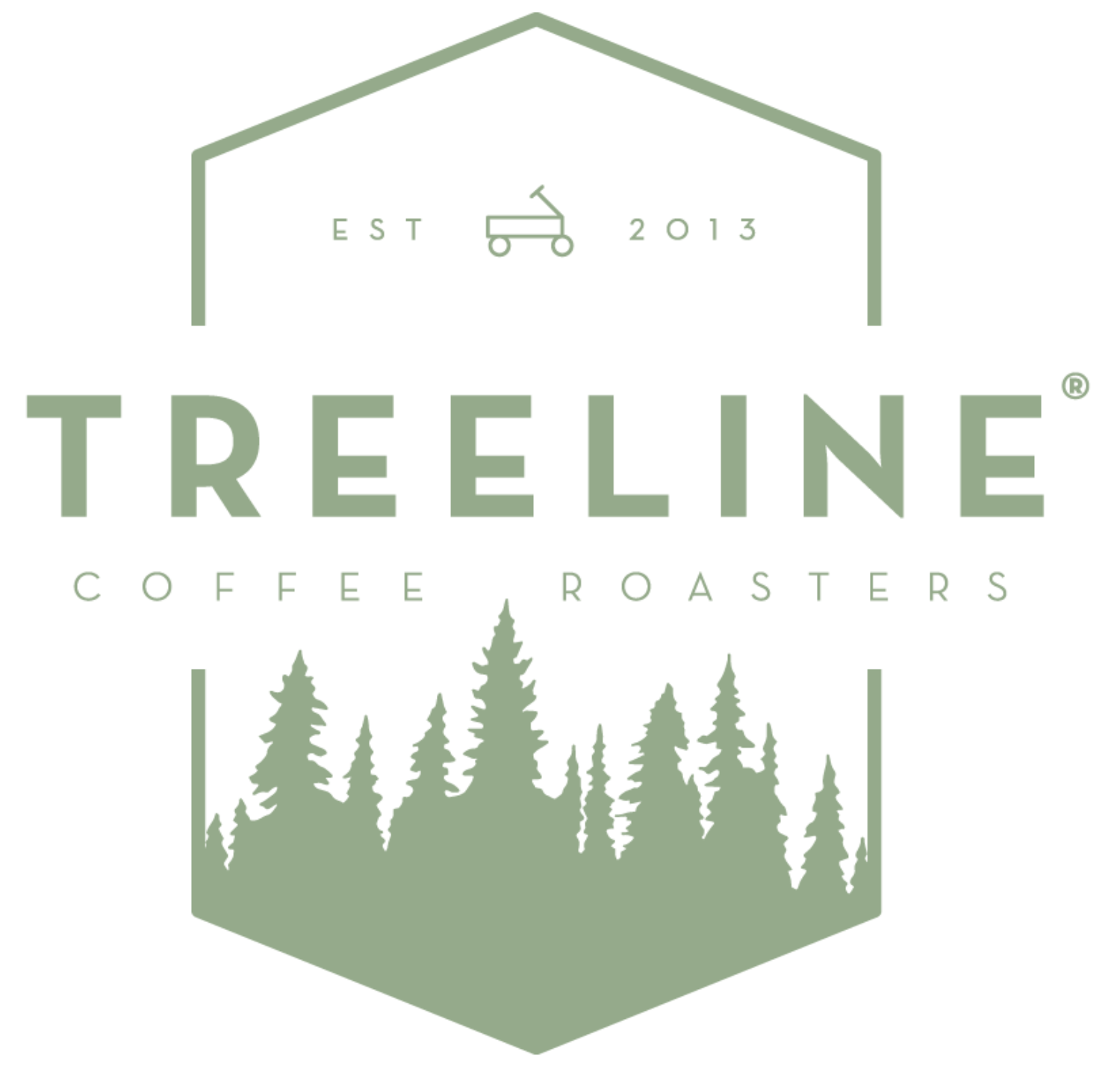 Treeline Coffee Roasters Downtown Bozeman