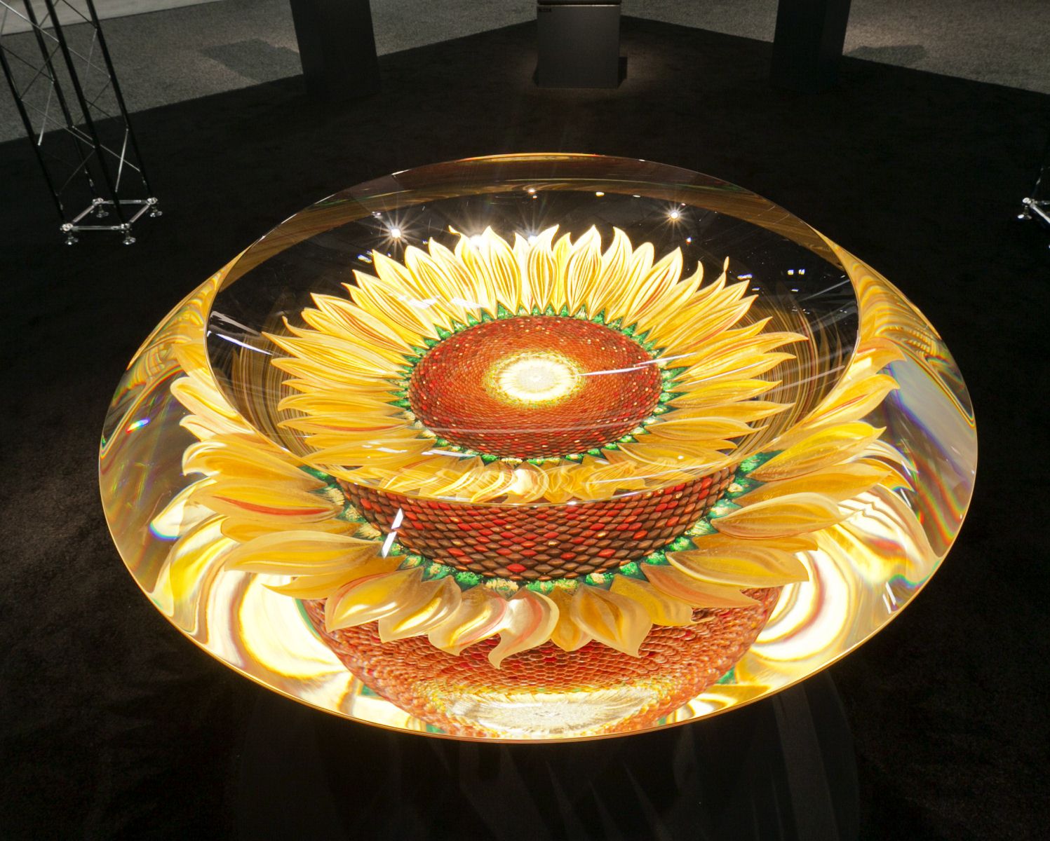 ,SPIE  - Photonics West 2012 2012 30X30