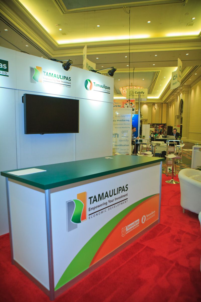 ,CES - Consumer Electronics Show 2013 2013 20X30