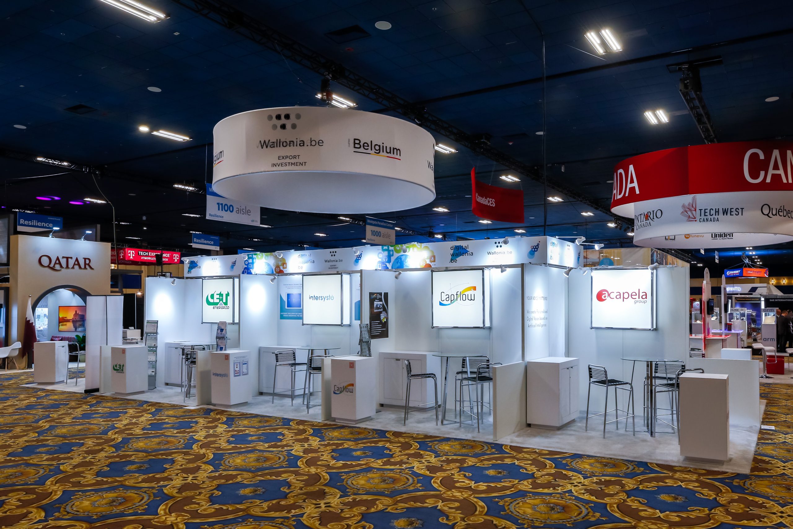 Consumer Electronics Show 2019  (CES) 50X20