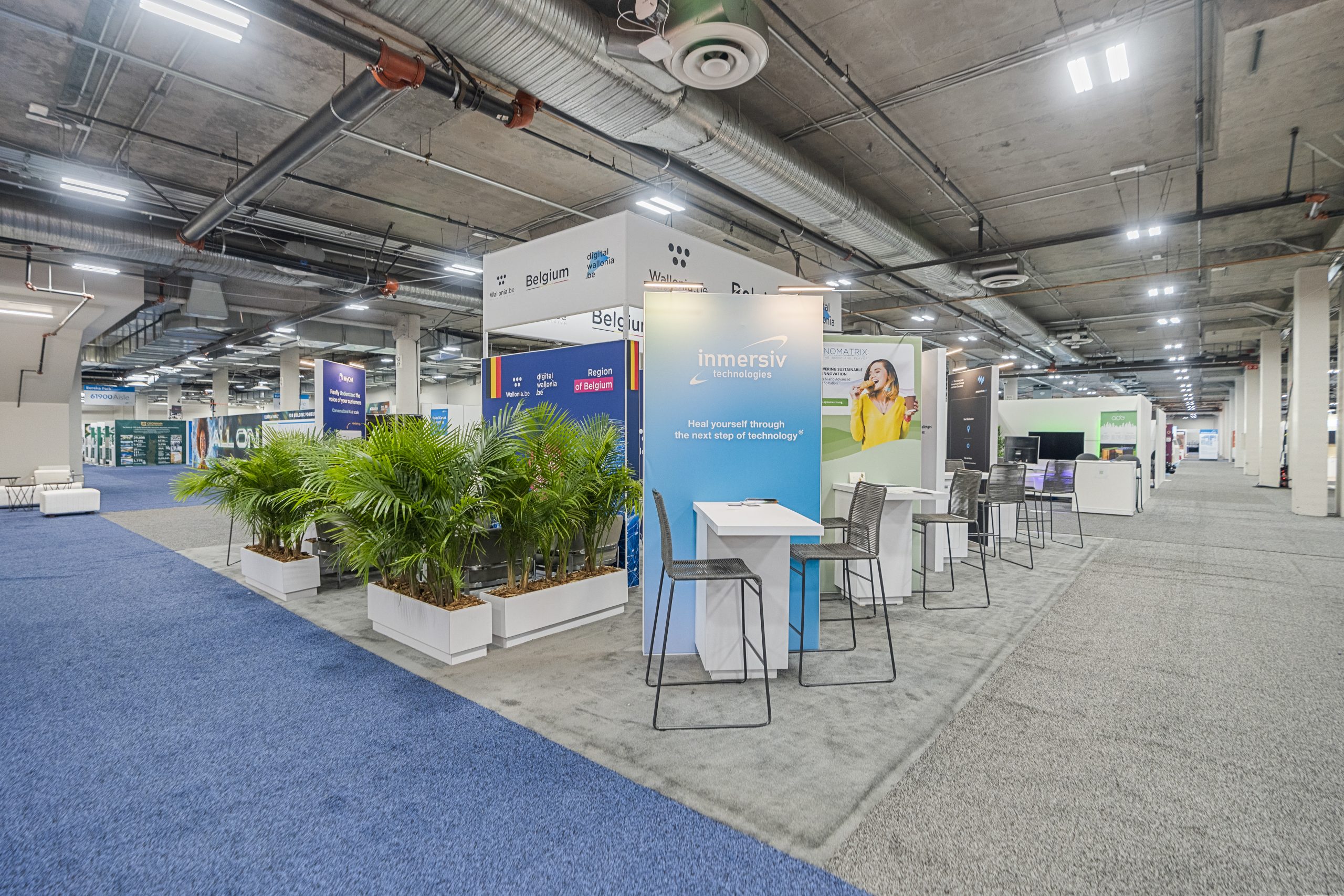 Consumer Electronics Show 2024  (CES) 30X30